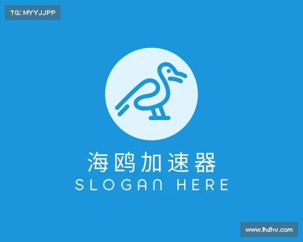 认识海鸥加速器